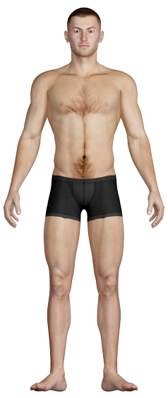 Male body front view